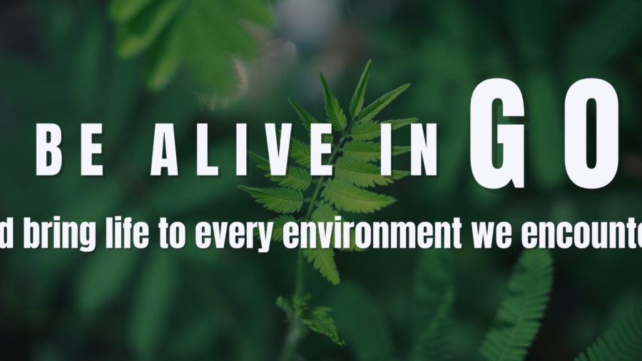 white & green modern earth day Banner Landscape - 1